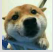 0?wx_fmt=png