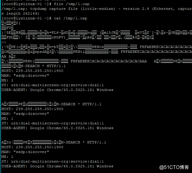 netstat、Linux下抓包