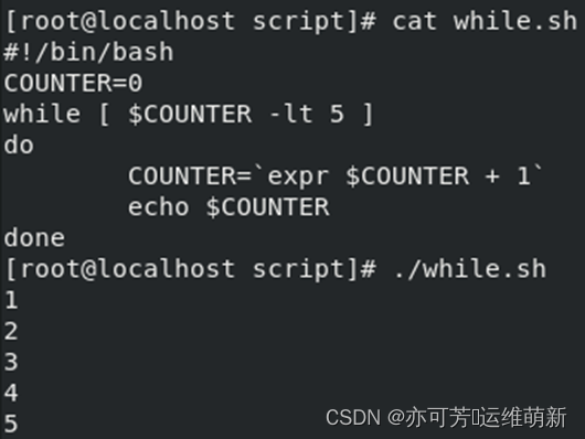 Shell脚本的while循环和until循环_while sh-CSDN博客