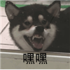 537cad969962d6ad11e4844d200e8cd1.png