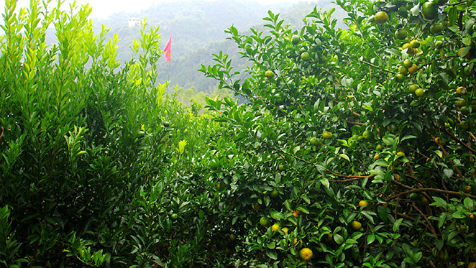 罗浮山自驾小结