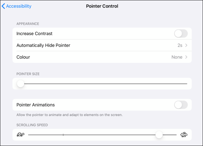 Pointer Control options for cursor on iPad