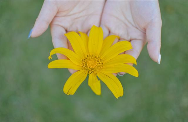 创新书籍推荐，培养创新思维这本书必看