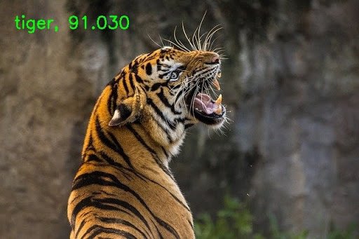 分类结果