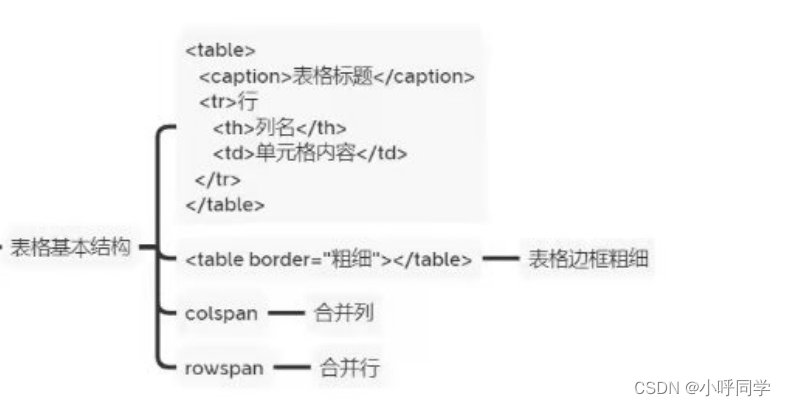 表格结构简介-CSDN博客