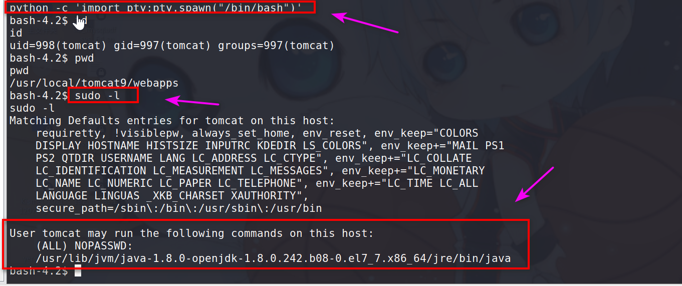 image-20220325102000605