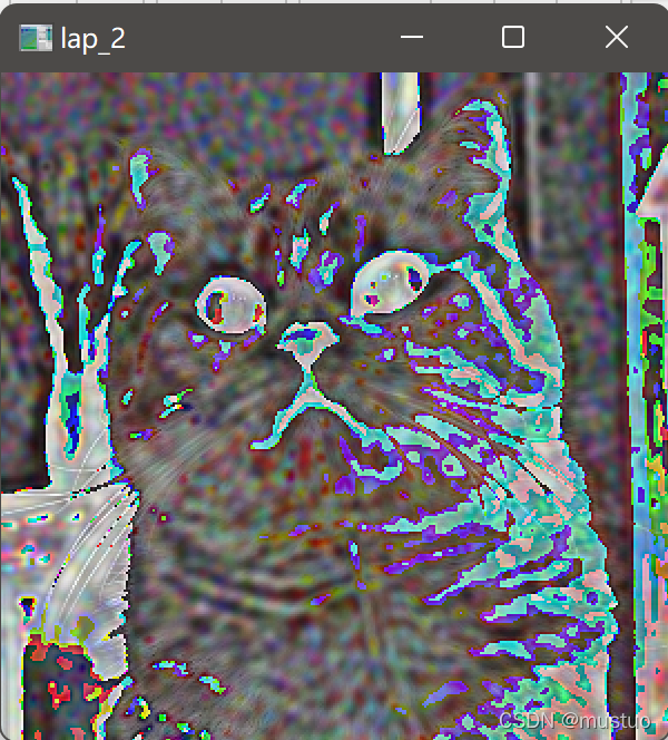 image-20220213213348845