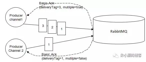 webp