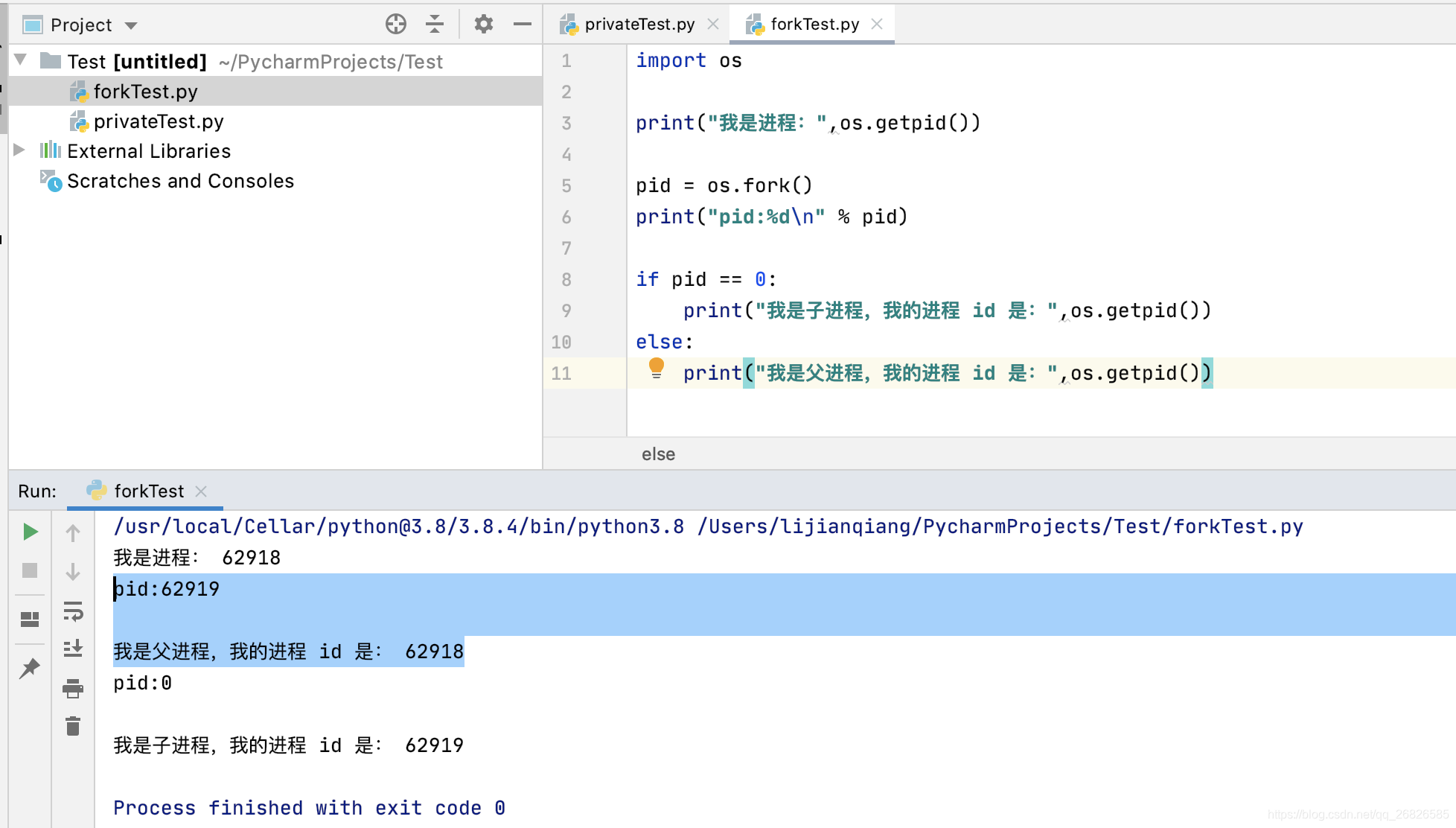 python 中的 fork_python fork-CSDN博客