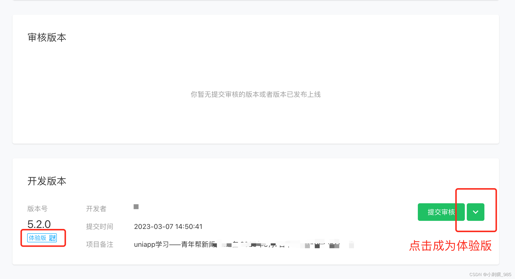微信平台---小程序版本管理