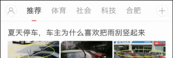xiaofeidubao.gif