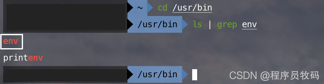 Linux - #!/bin/bash 和 #!/usr/bin/env bash 的区别_usr bin bash-CSDN博客