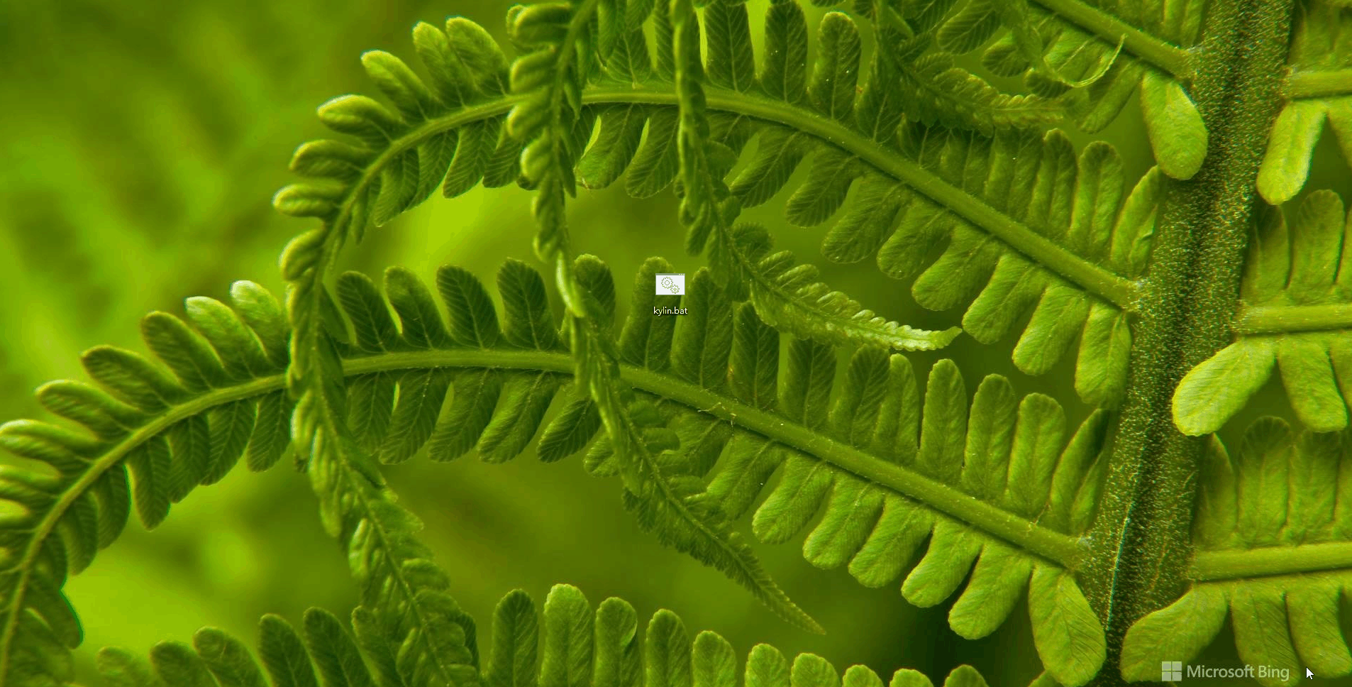 麒麟系统启动 在这里插入图片描述