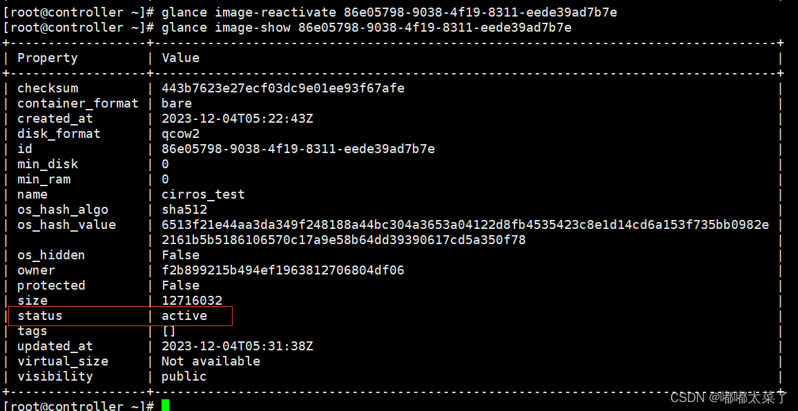 【Openstack Train】十五、glance命令、Python SDK_glance镜像删除命令-CSDN博客