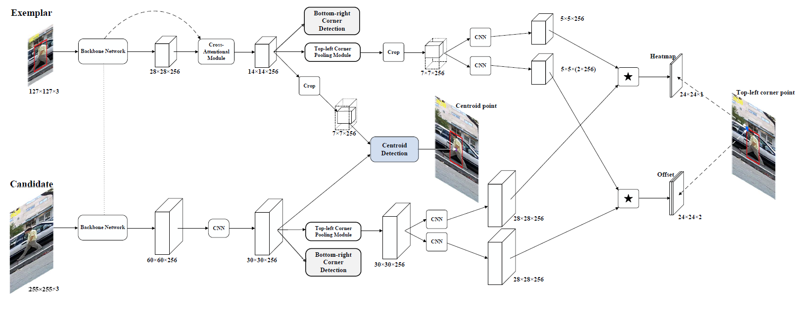 Siamese Attentional Keypoint Network for High Performance Visual ...
