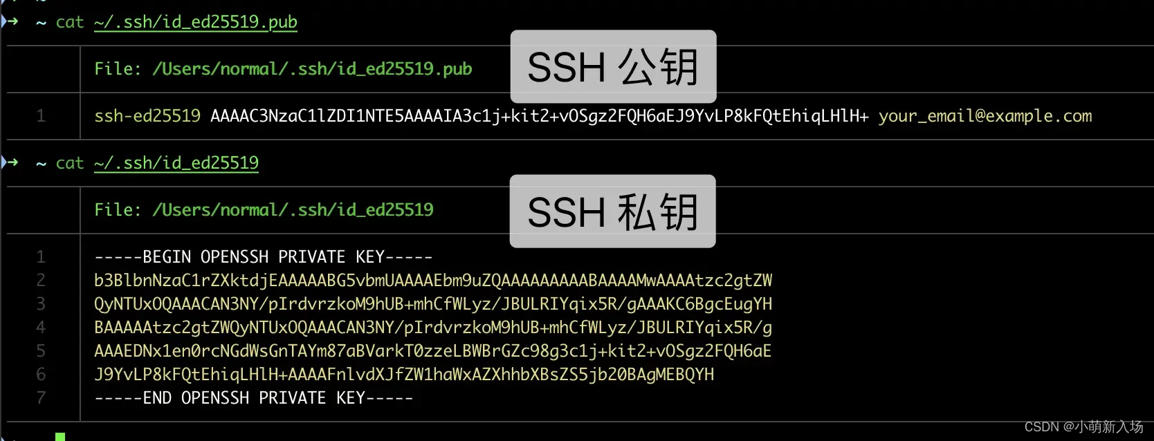 官方图片