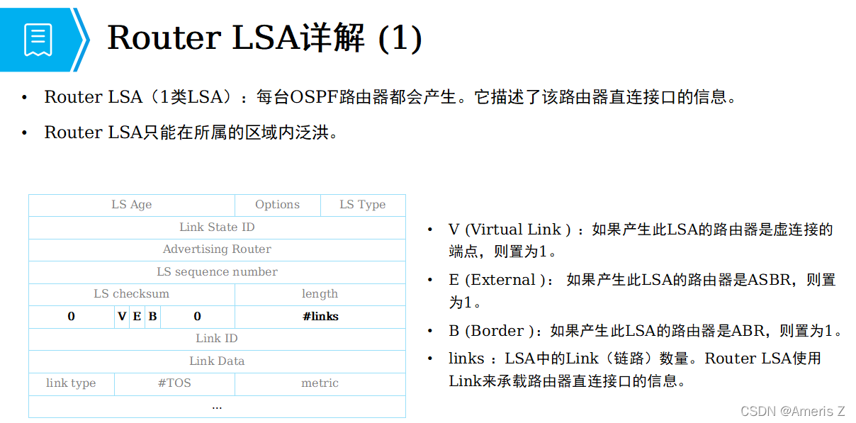 【ospf路由计算(一类LSA-router、二类LSA-Network、三类LSA-sum-Net)】-20211228-30-CSDN博客