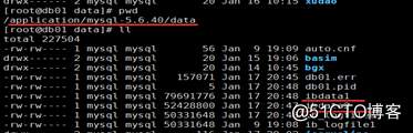 mysql扩容共享表空间