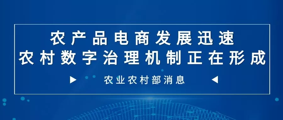 农业农村部信息中心：农产品电商发展迅速 农村数字治理机制形成