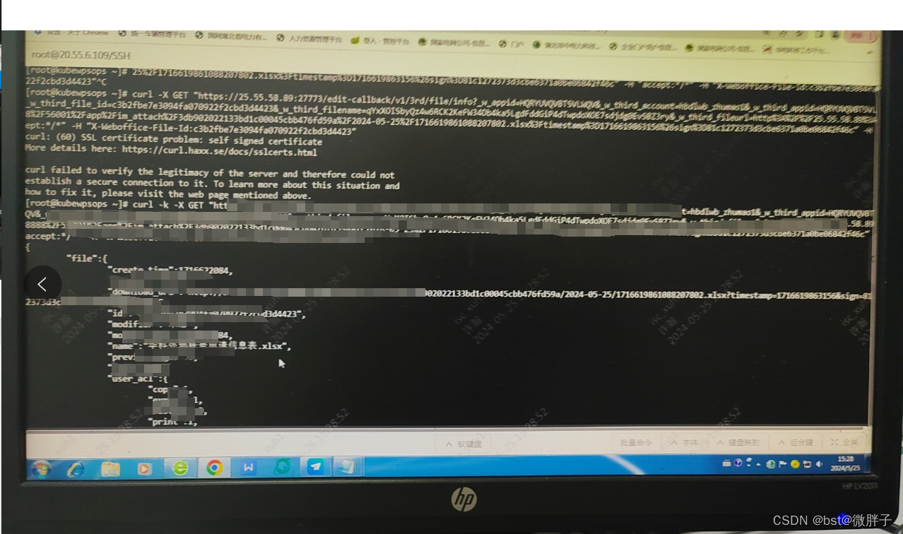 curl: (60) SSL certificate problem: self-signed certificat_curl: (60 ...