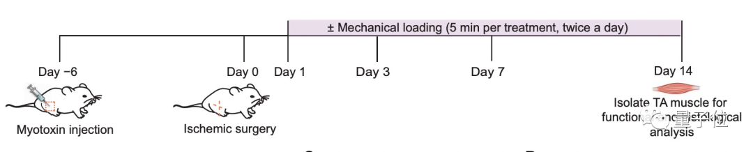 6b50fee86da97c3711855f27c2fac040.png