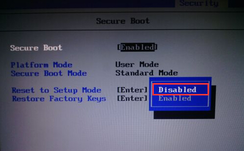 Secure Boot项界面
