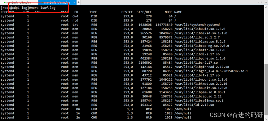 【珍藏版】linux lsof命令详解_s}>ll'fo"* +-CSDN博客