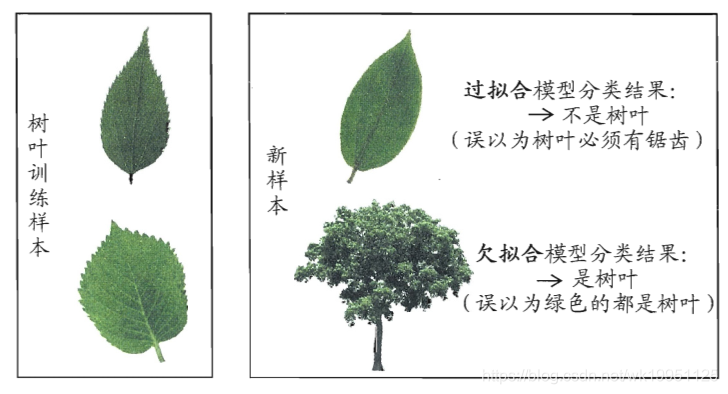 过拟合与欠拟合