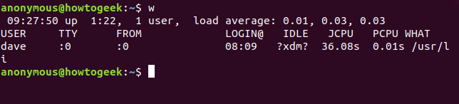 Output from the w command