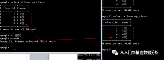 e2b205659cbc30630b775ad71319002e.png