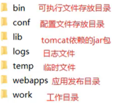 image-20240611154834248