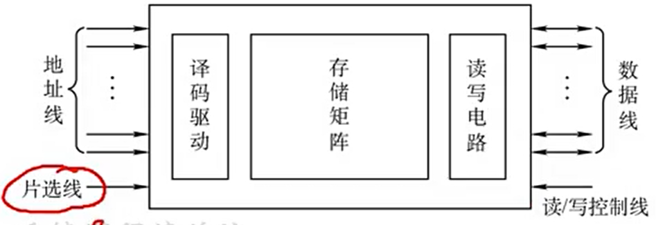 image-20220202194230584