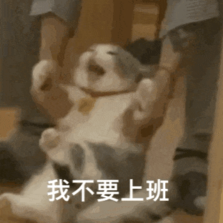 0c4a7e9b3a9eb41dfb846bdf7a4a9f7f.gif