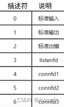 cnt1