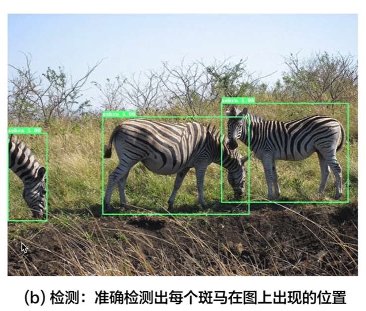 image-20211115211849084