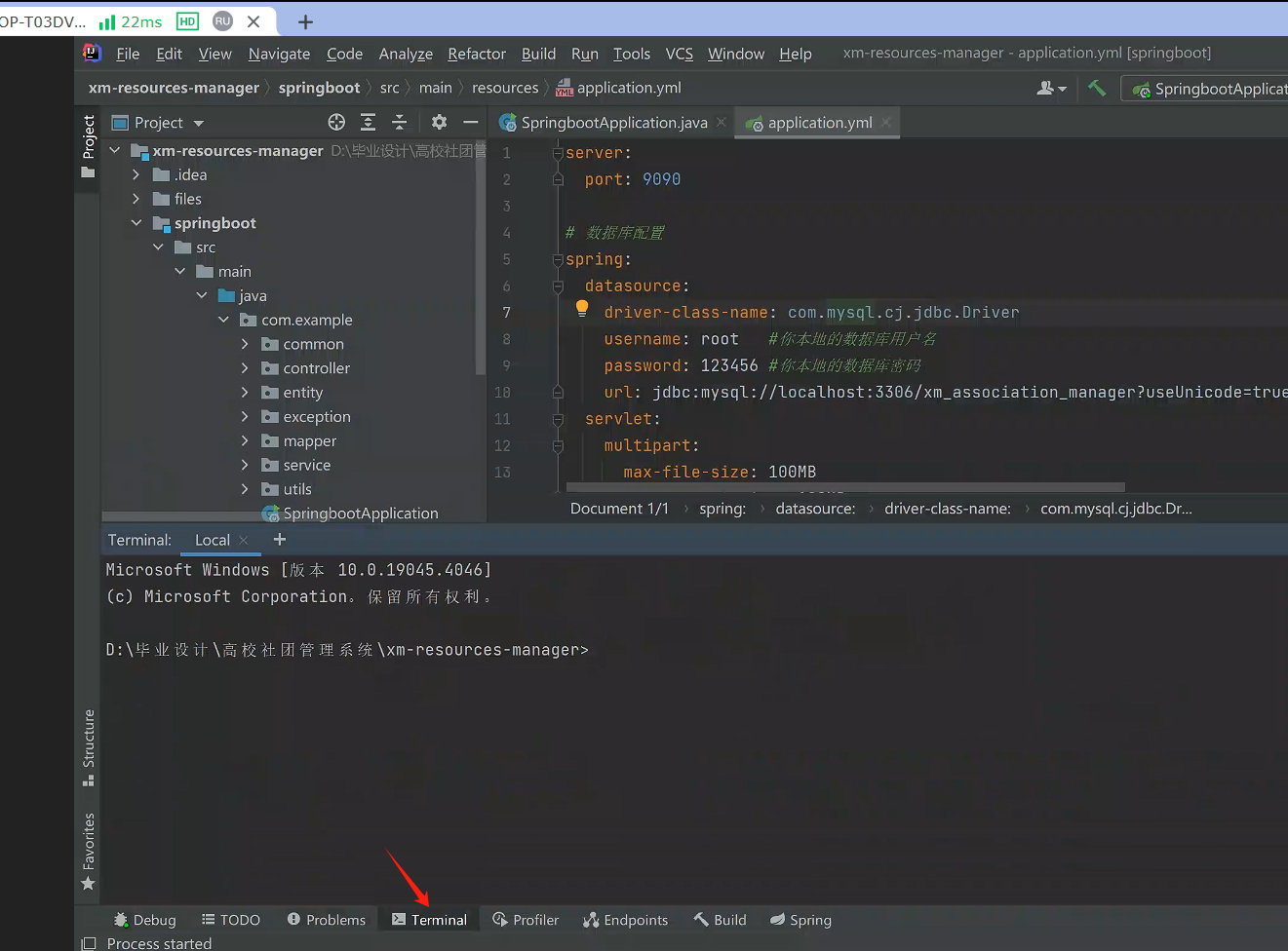 image-20240219144603298