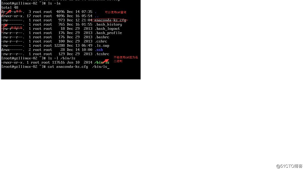 讨论Linux目录结构
