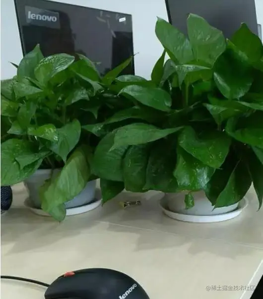 一个小白的转行Python的经历!