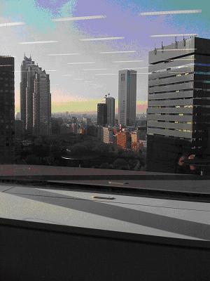 2009012808553658.jpg
