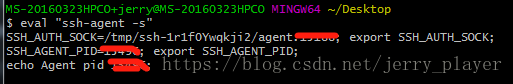 ssh-agent