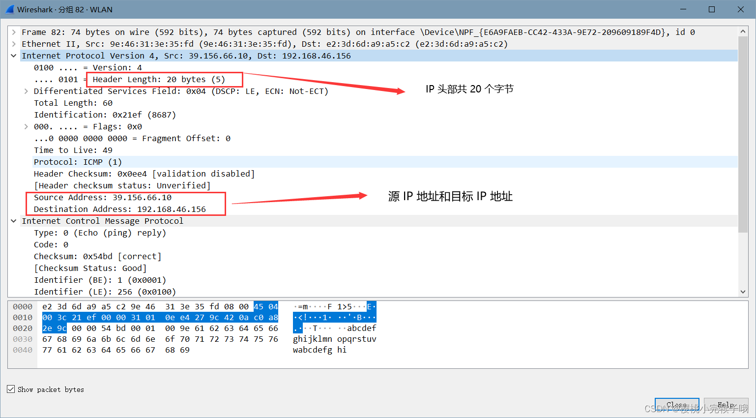 手把手教你实现 Ping 操作