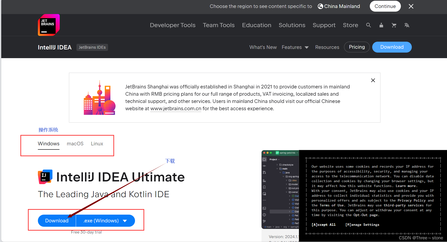 Java环境搭建(二)Notepad++和IDEA的下载_jdk中的notepad如何下载-CSDN博客