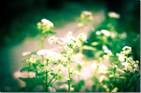 01_thumb[1]