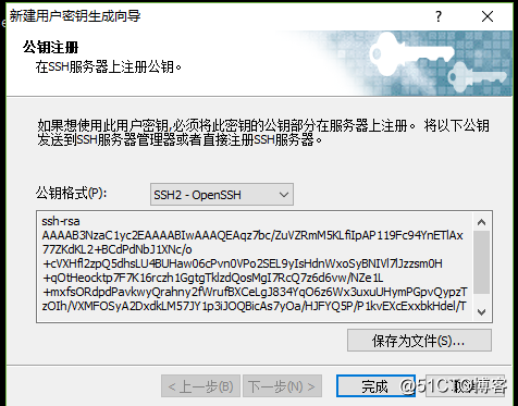 如何设置和使用putty