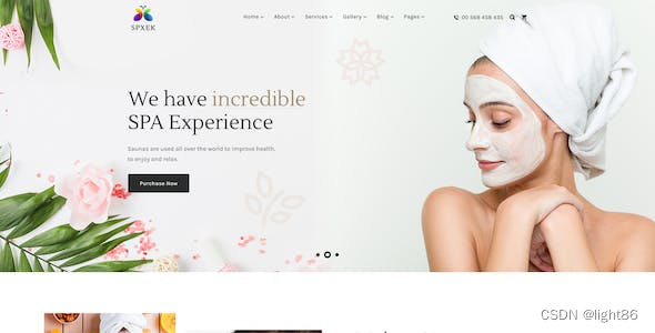 网站程序开发中的版本管理与代码托管工具介绍