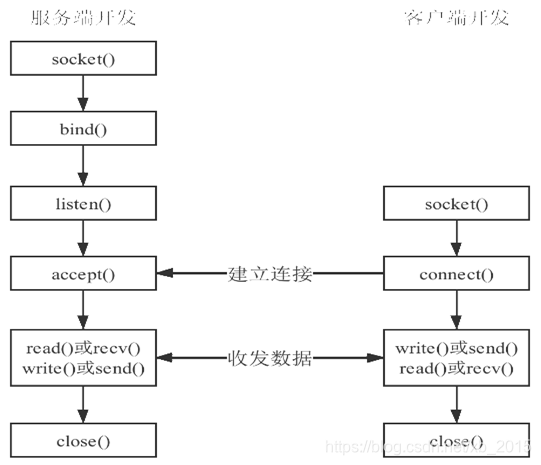 TCP Socket编程步骤