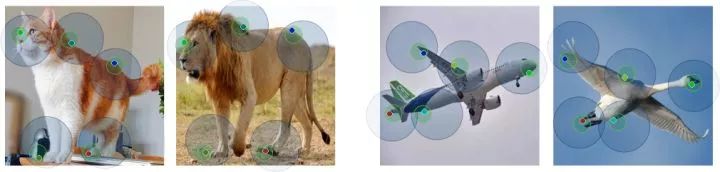 e924f8b1ebad0ac6a4adb0a074c6d456.png