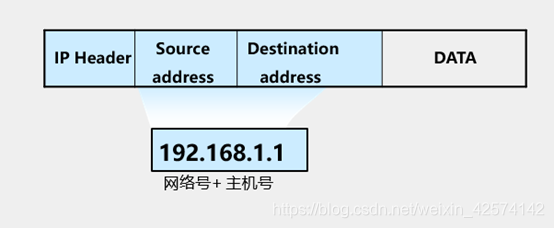 IP地址格式