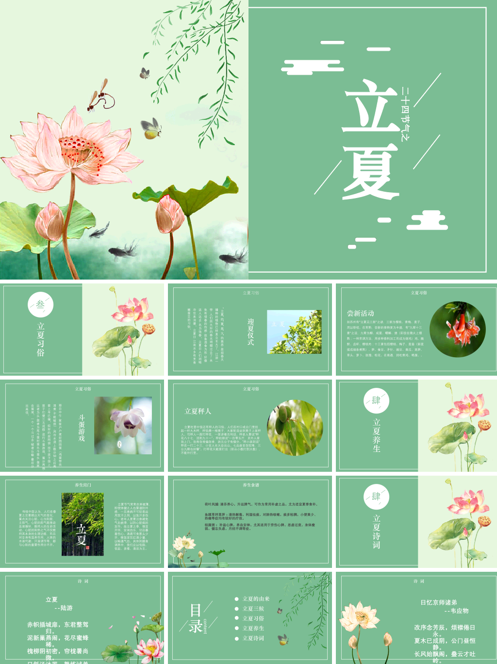 淡绿色清新立夏主题介绍