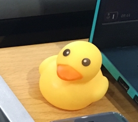 5c4a9d2f5c1dd.jpg